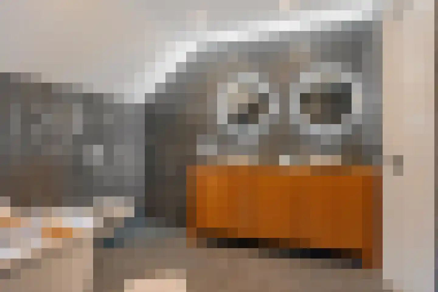 Hanekampswijk 48 Oude Pekela thumbnail 4