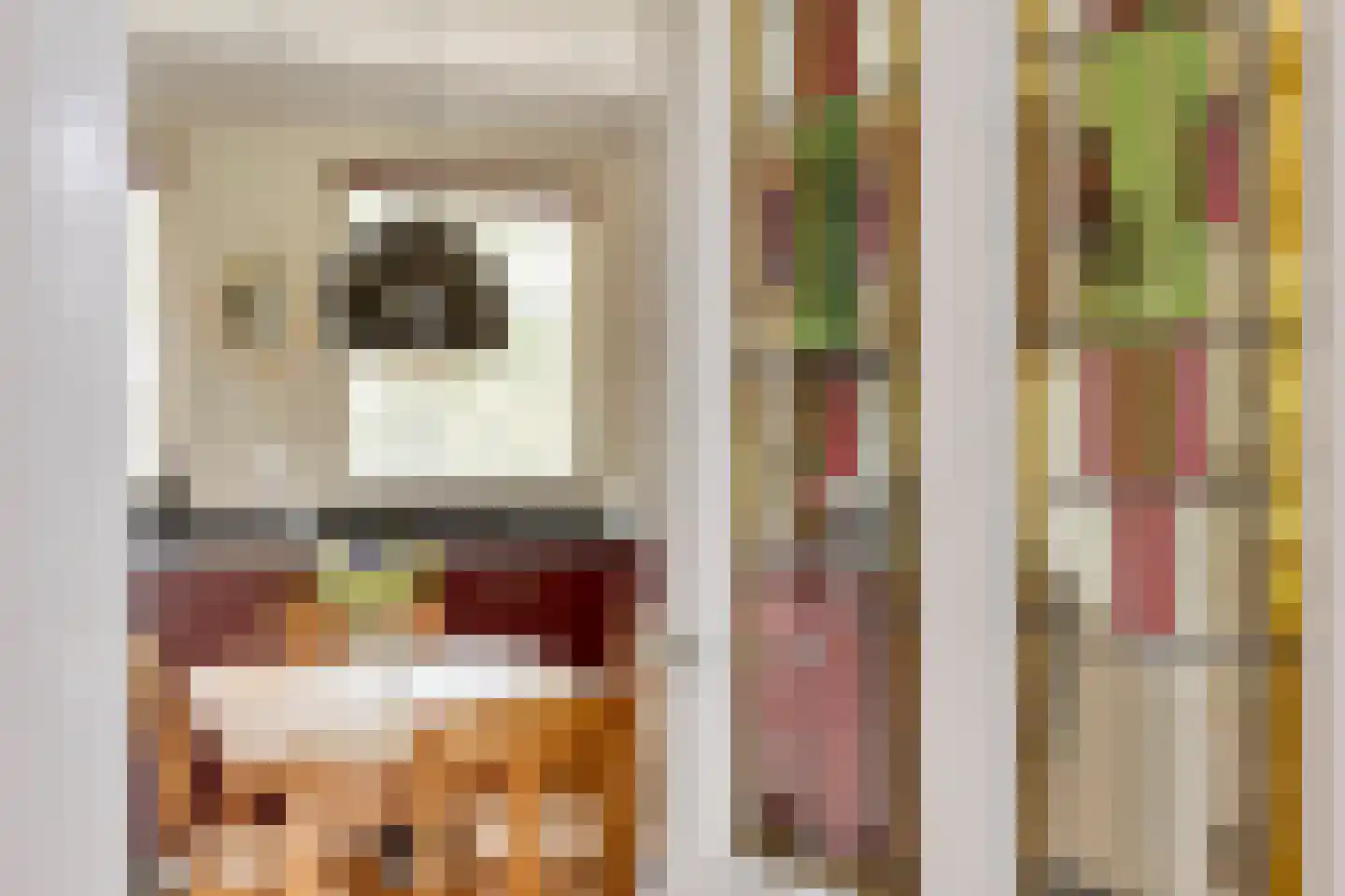 Hanekinderstraat 2 A Etten-Leur thumbnail 10