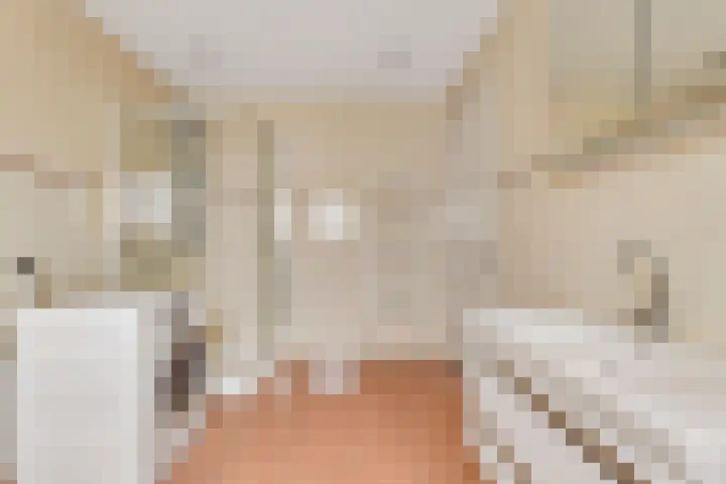 Hanekinderstraat 2 A Etten-Leur thumbnail 10