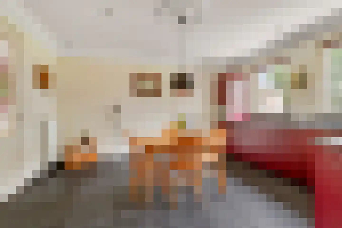Hanekinderstraat 2 A Etten-Leur thumbnail 11