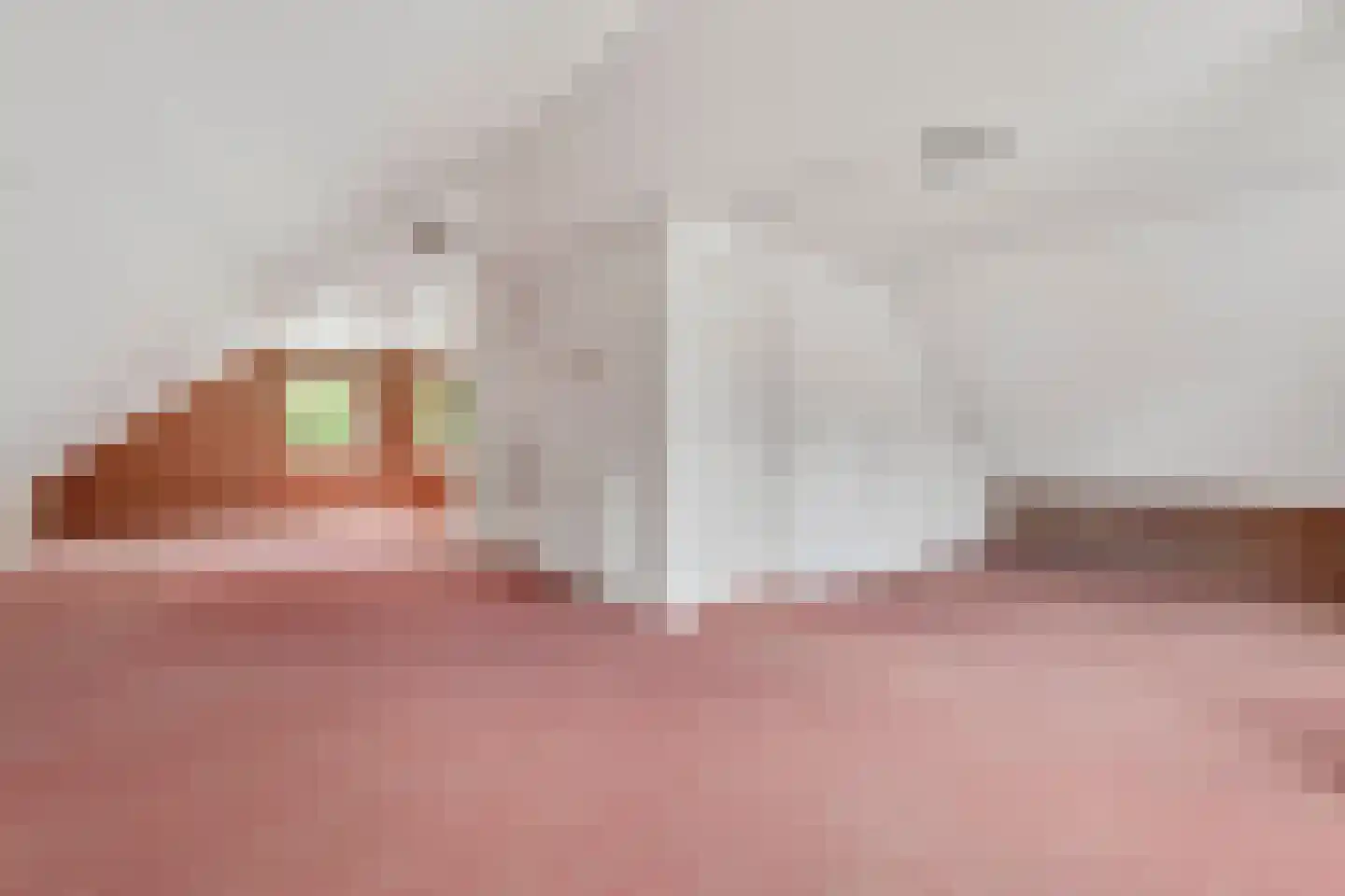 Hanekinderstraat 2 A Etten-Leur thumbnail 20