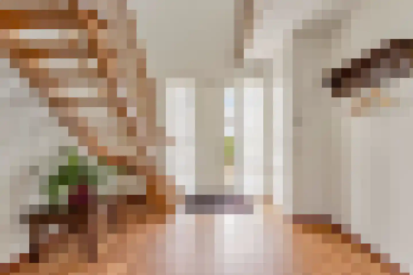 Hanekinderstraat 2 A Etten-Leur thumbnail 6