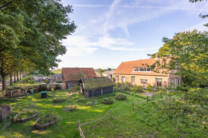 Haneman 3 in Winssen Foto