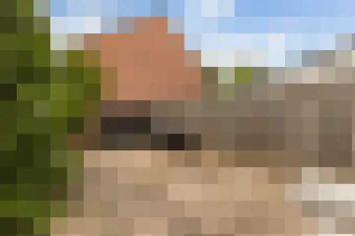 Hanenberglanden 130 Enschede thumbnail 4
