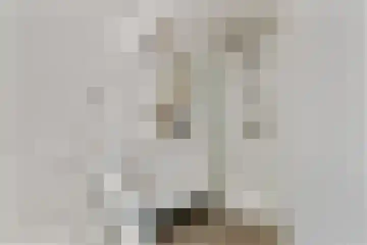 Hanenberglanden 186 Enschede thumbnail 23