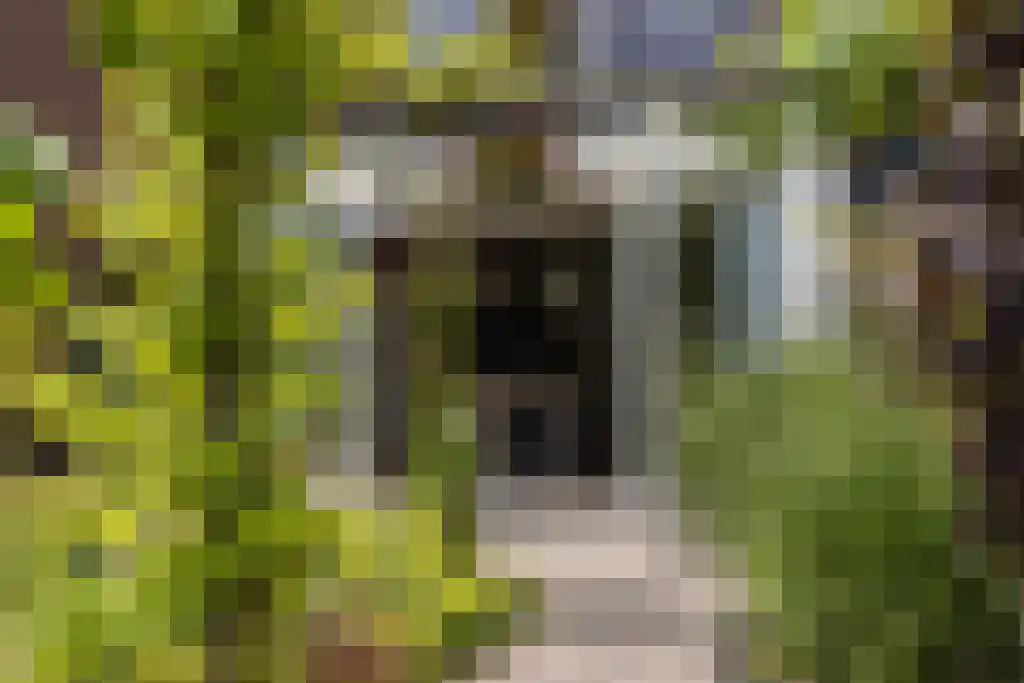 Hanenberglanden 320 Enschede thumbnail 14