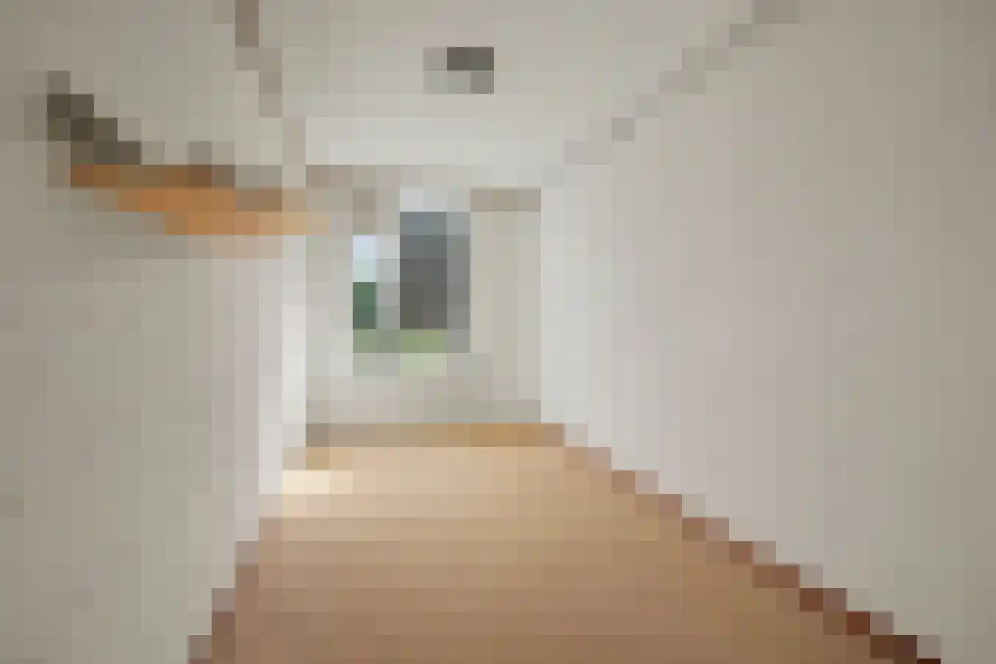 Hanenberglanden 370 Enschede thumbnail 18