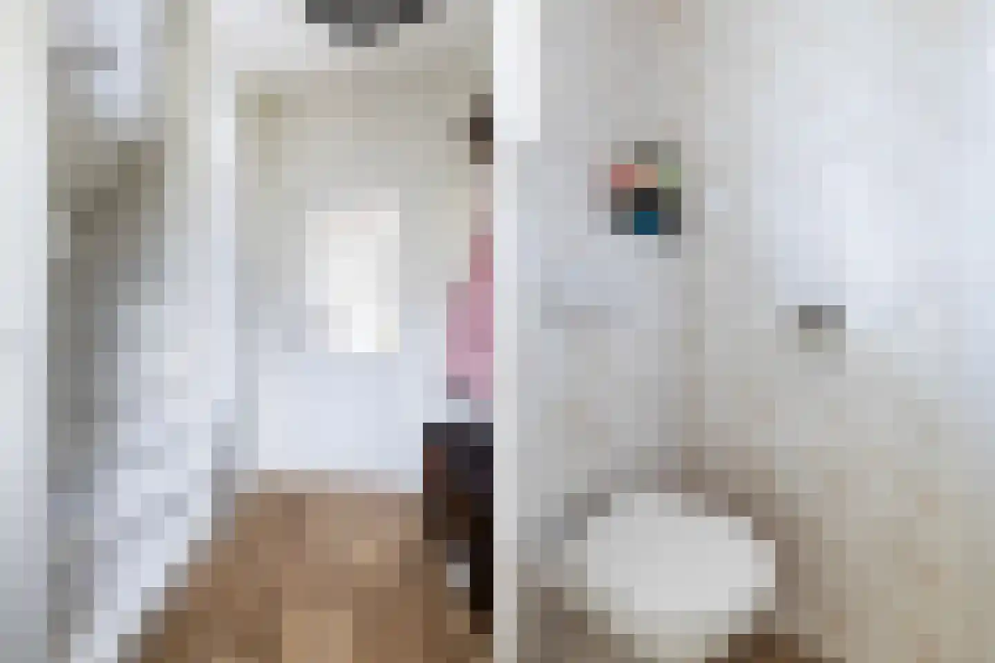 Hanenburg 10 Tytsjerk thumbnail 13