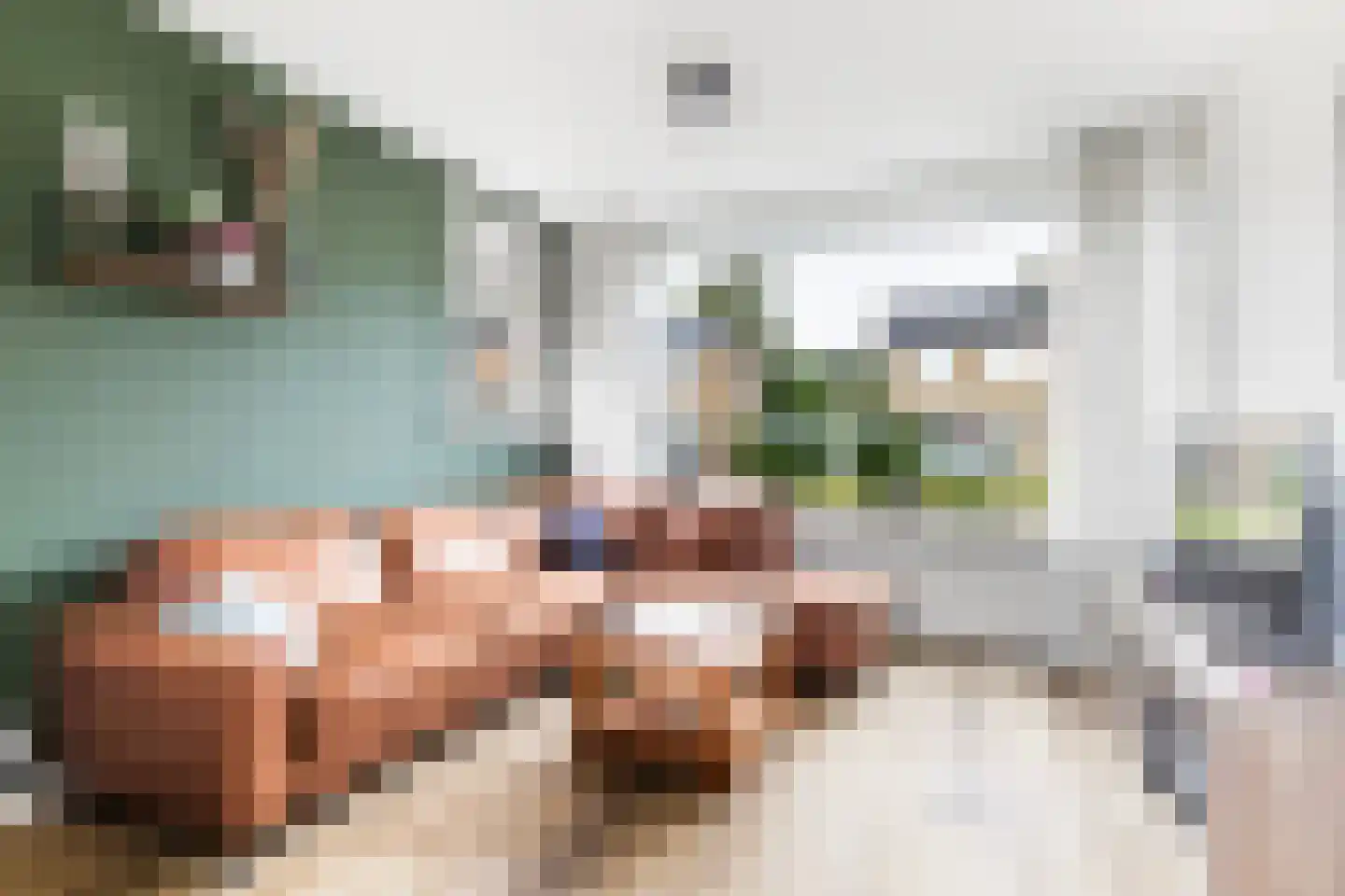 Hanenburg 10 Tytsjerk thumbnail 14