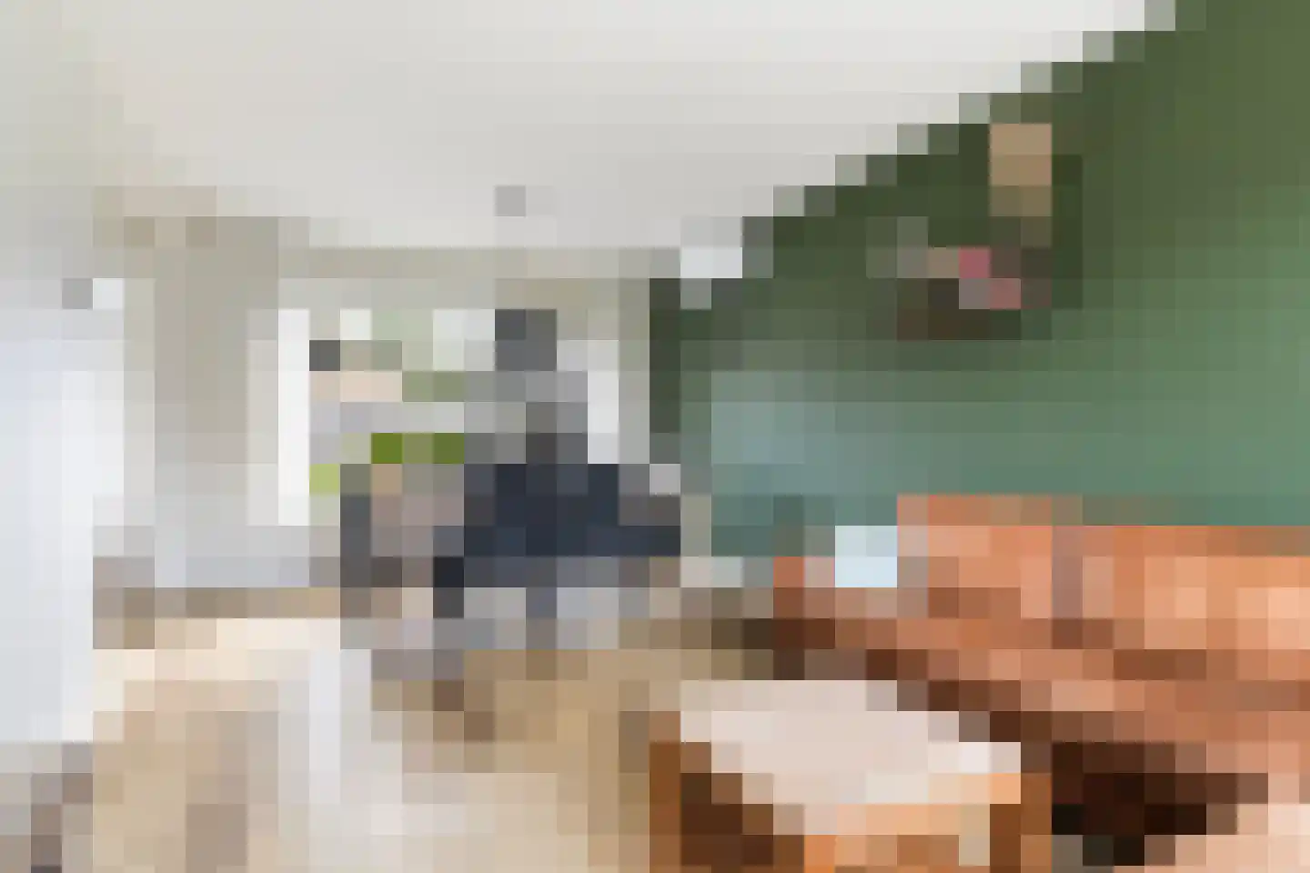 Hanenburg 10 Tytsjerk thumbnail 16