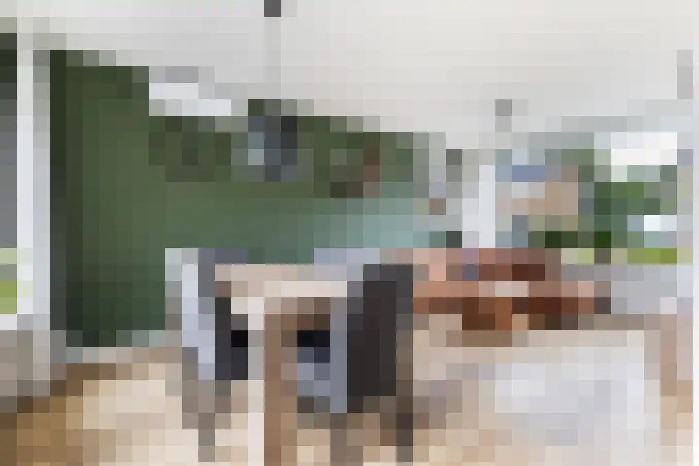 Hanenburg 10 Tytsjerk thumbnail 18