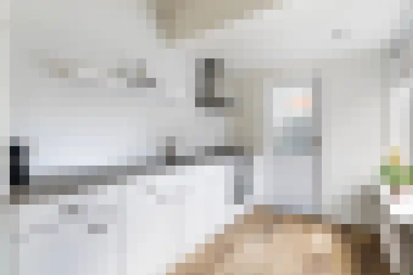 Hanenburg 10 Tytsjerk thumbnail 19