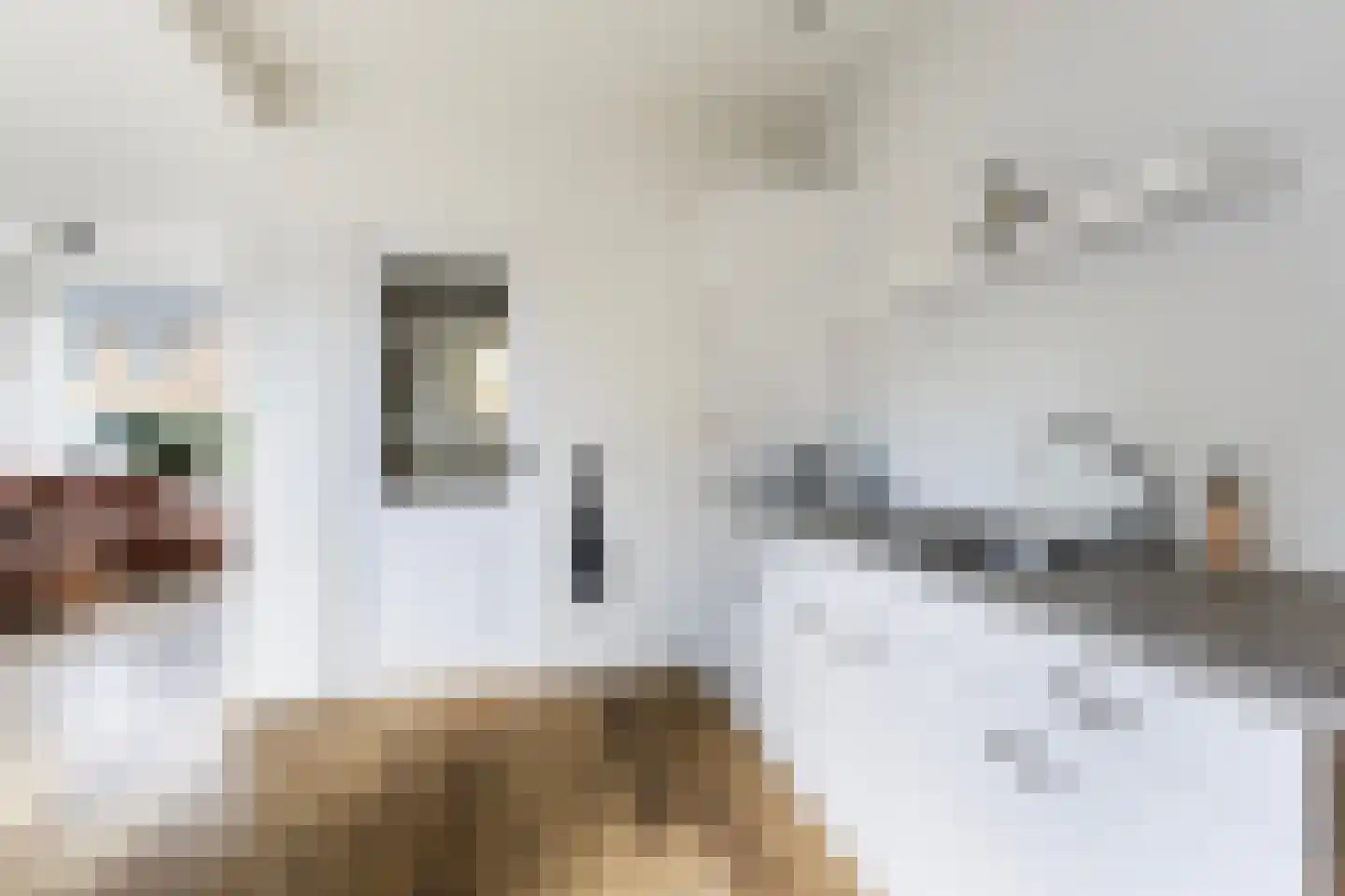 Hanenburg 10 Tytsjerk thumbnail 20