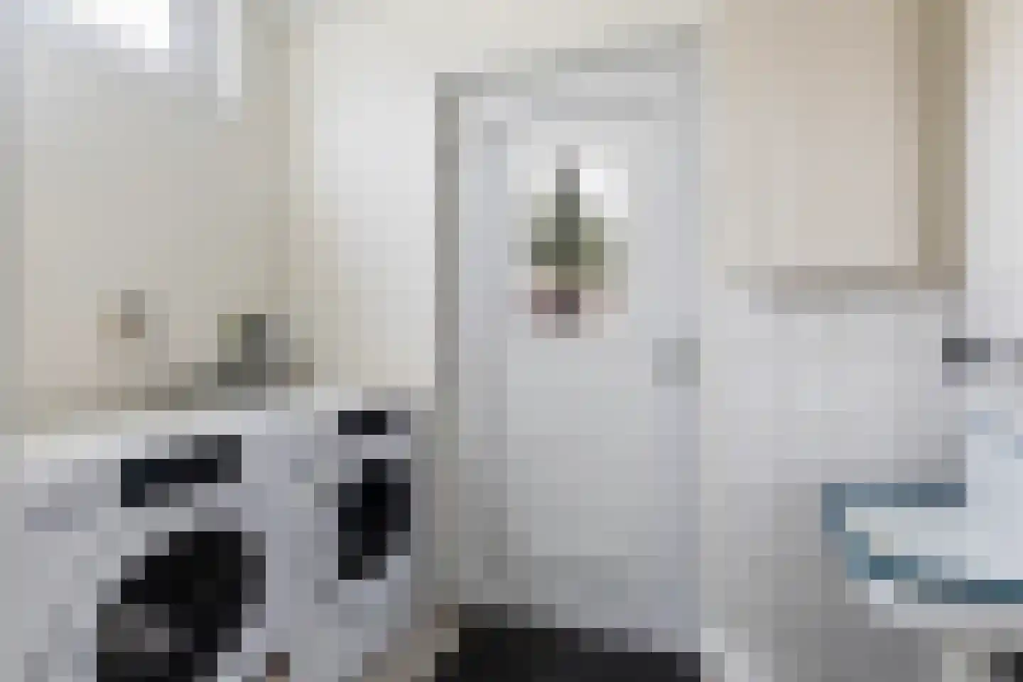 Hanenburg 10 Tytsjerk thumbnail 23