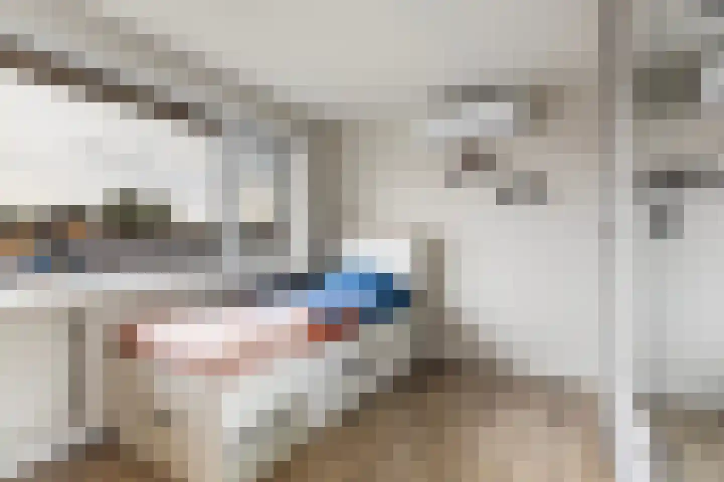 Hanenburg 10 Tytsjerk thumbnail 25