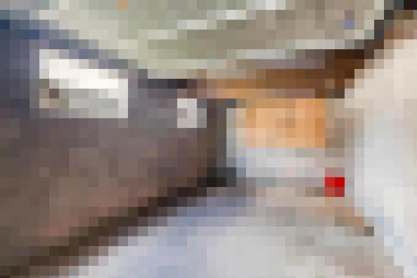 Hanenburg 10 Tytsjerk thumbnail 45