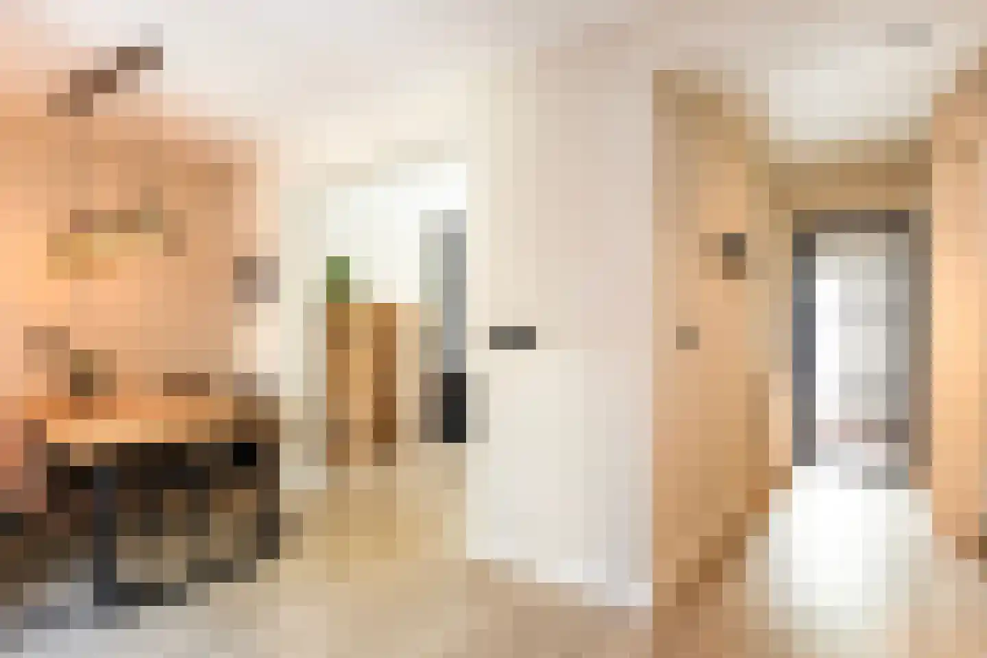 Hanenburg 27 Tytsjerk thumbnail 13
