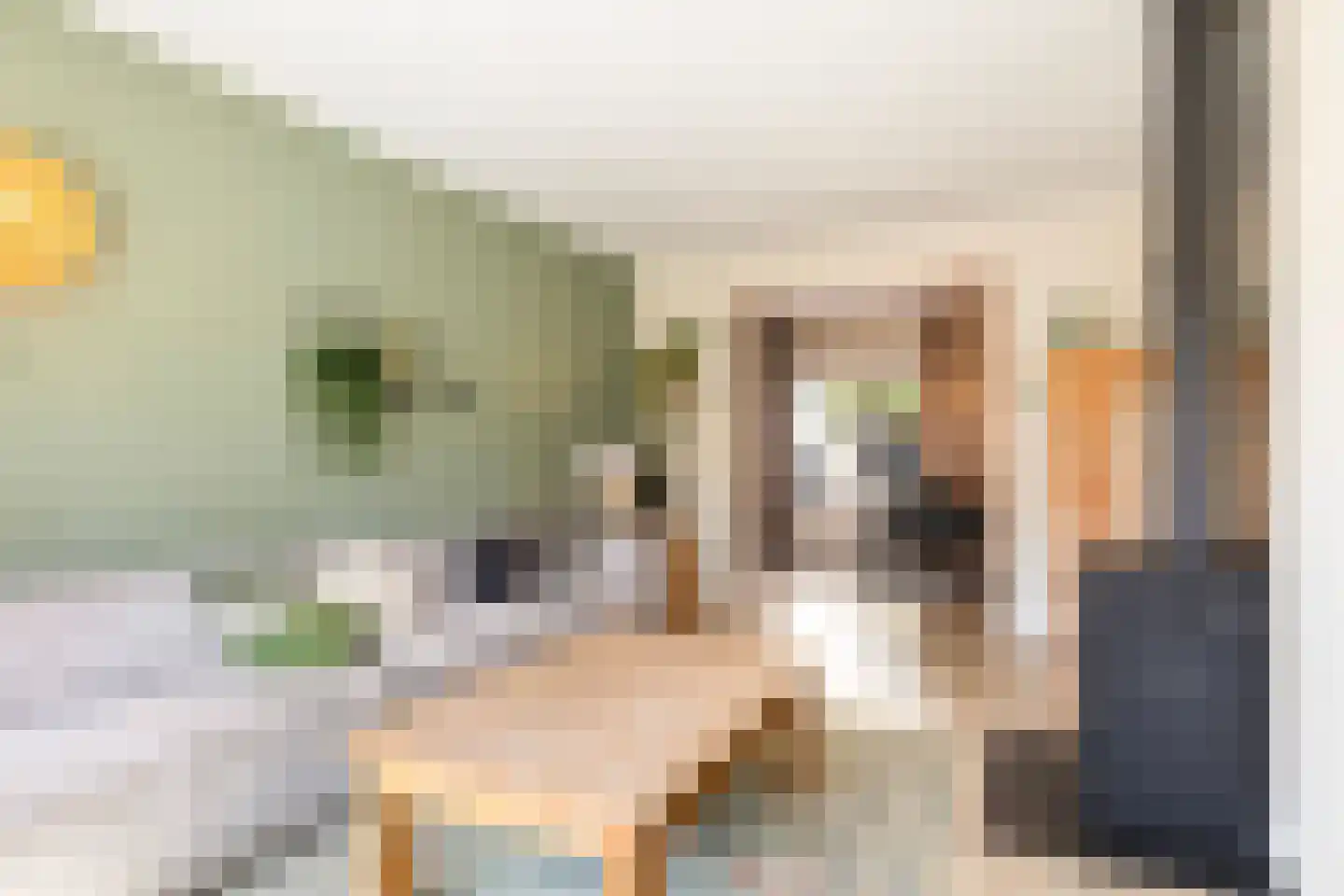 Hanenburg 27 Tytsjerk thumbnail 18