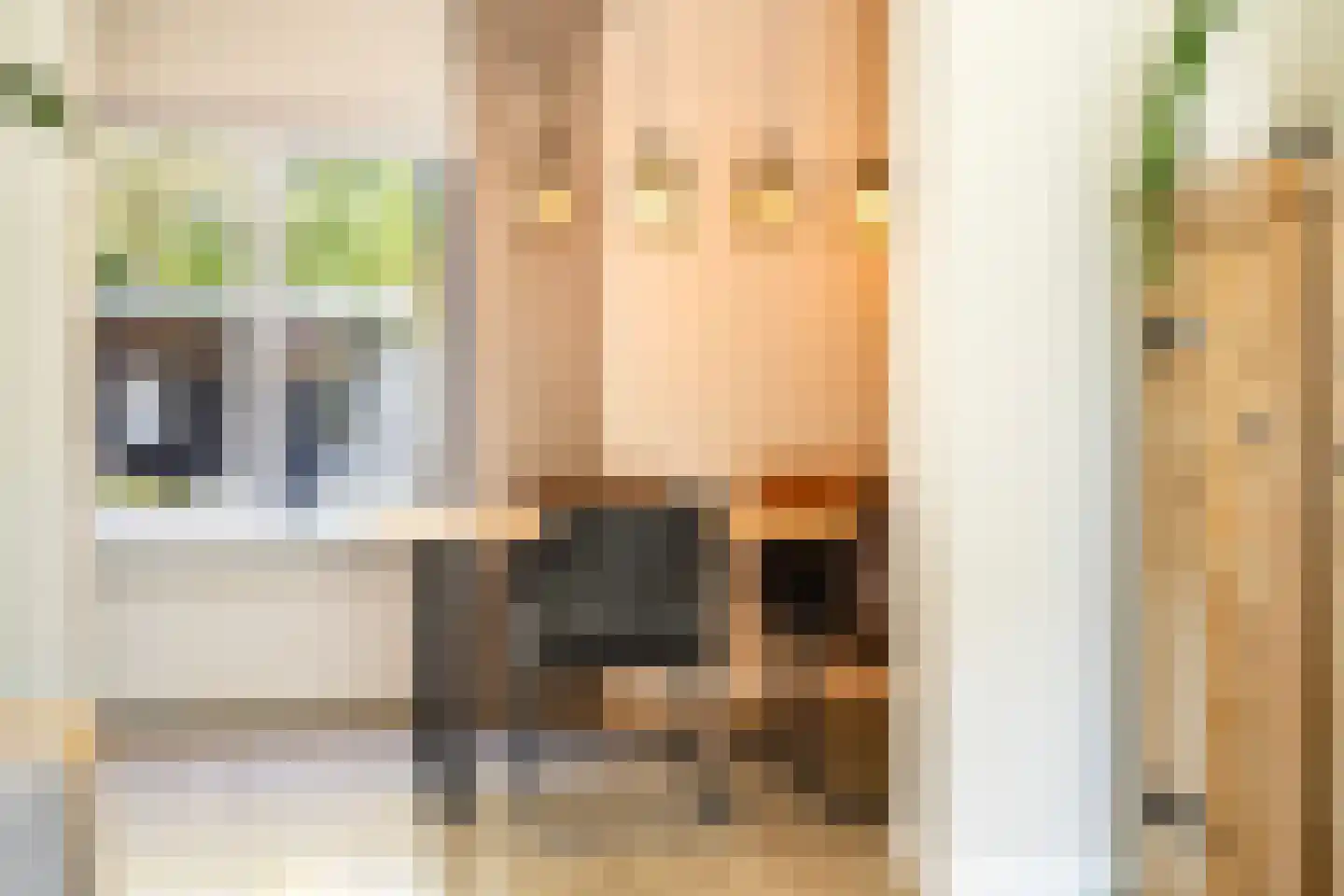 Hanenburg 27 Tytsjerk thumbnail 20