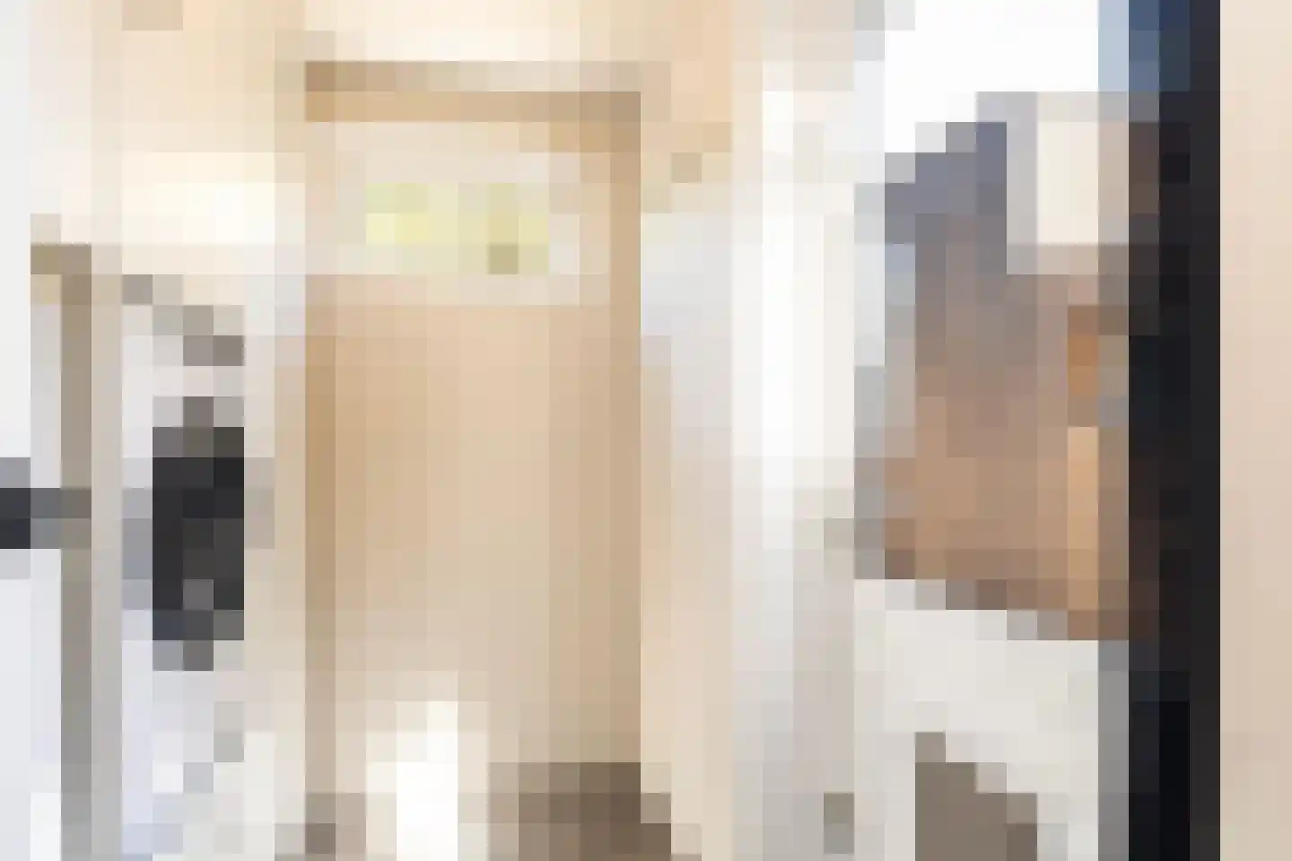 Hanenburg 27 Tytsjerk thumbnail 22