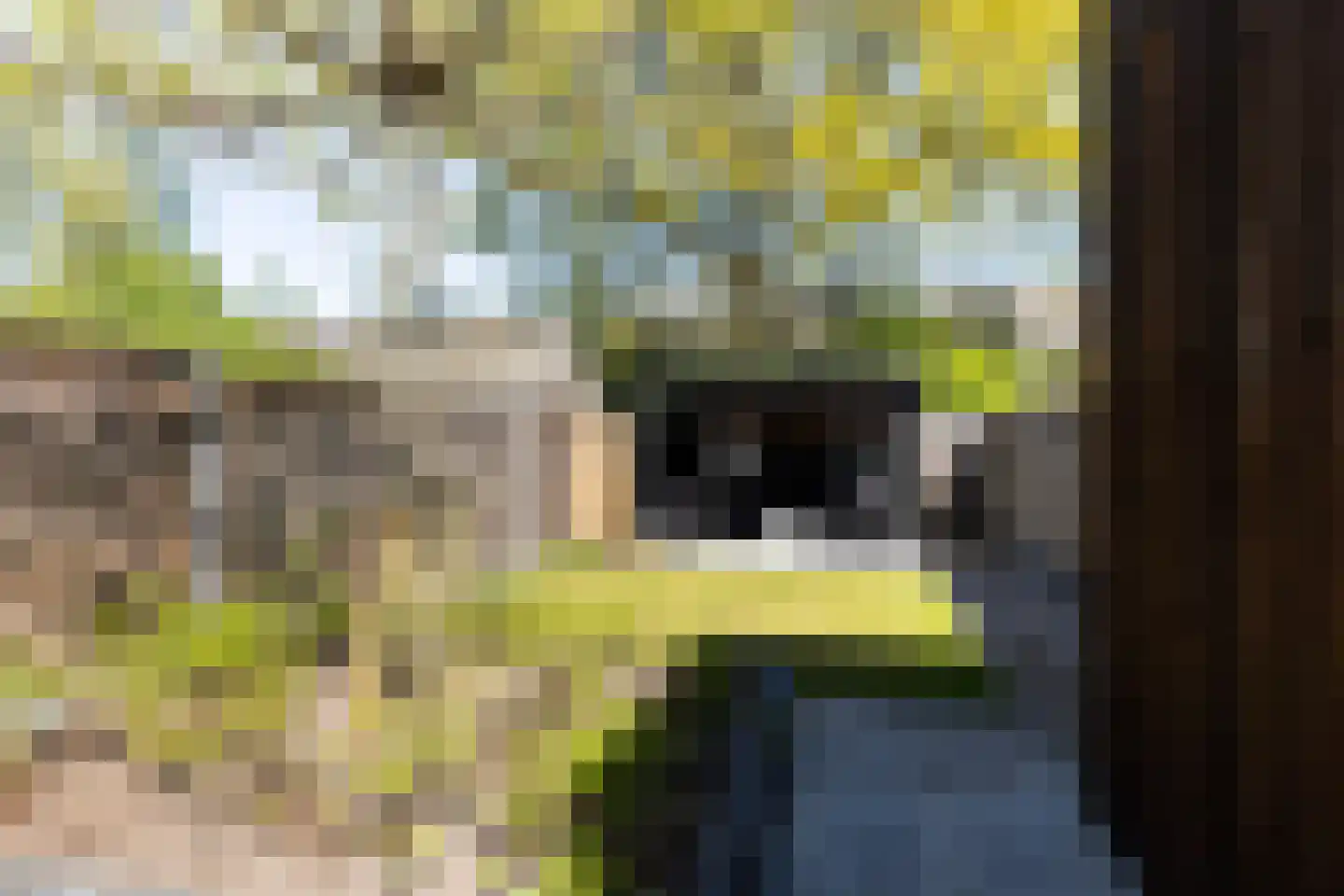 Hanenburg 27 Tytsjerk thumbnail 23