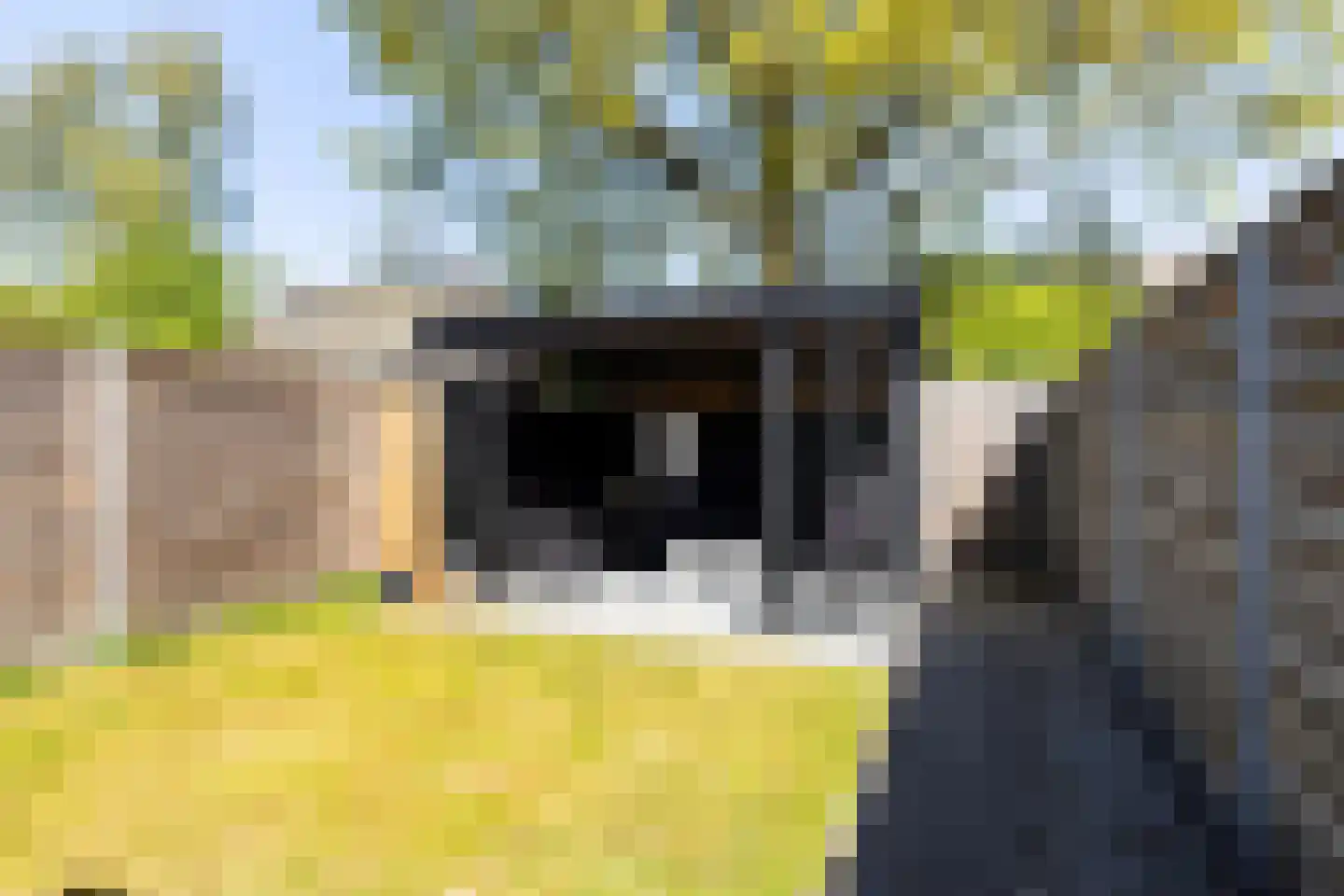 Hanenburg 27 Tytsjerk thumbnail 26
