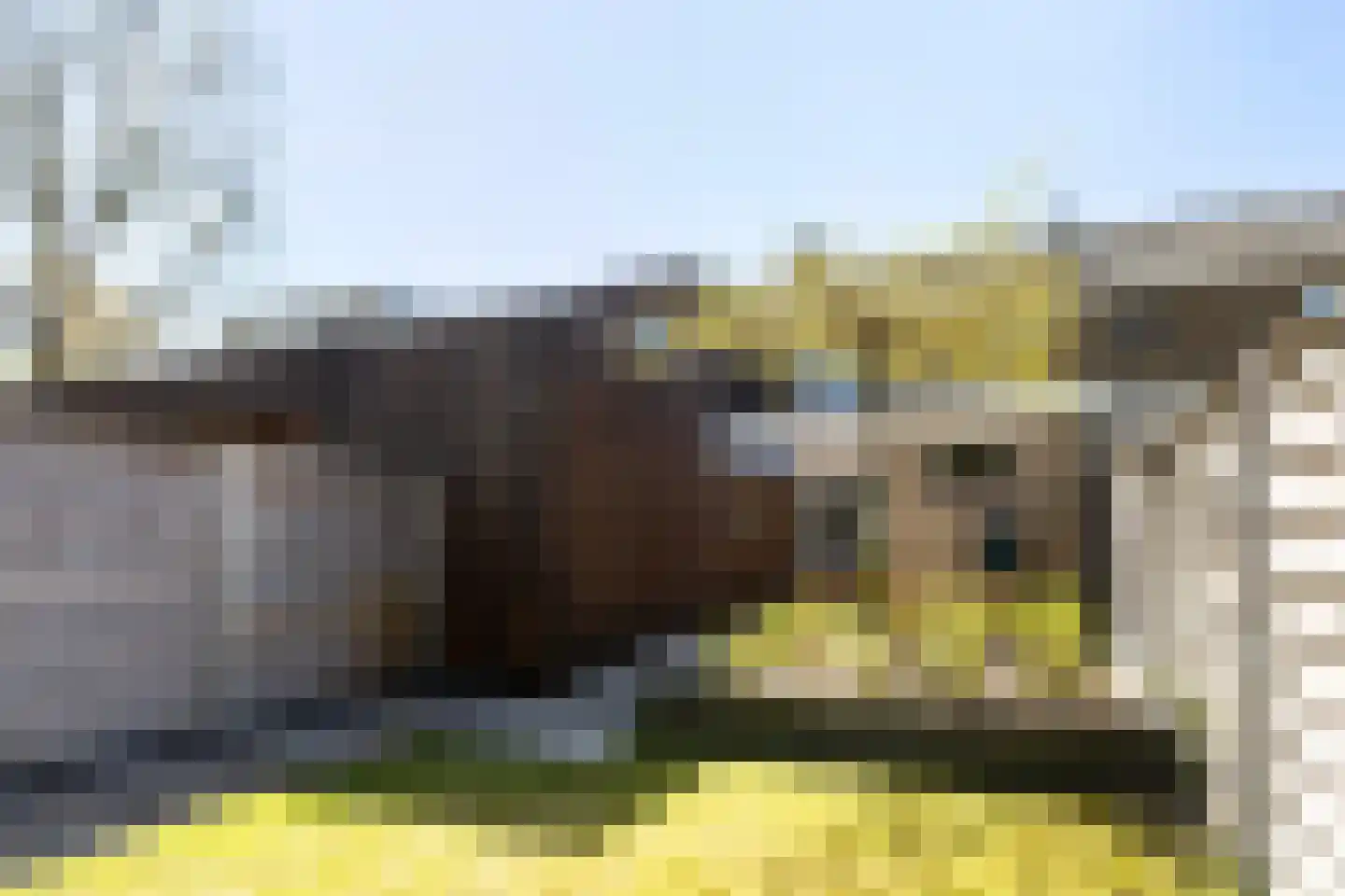 Hanenburg 27 Tytsjerk thumbnail 28
