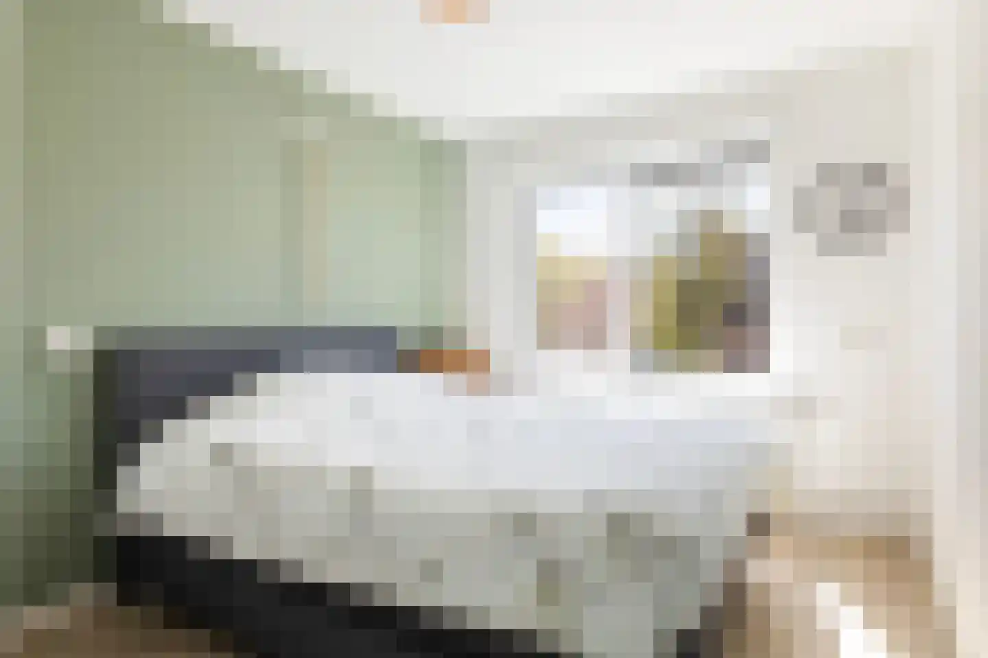 Hanenburg 27 Tytsjerk thumbnail 29