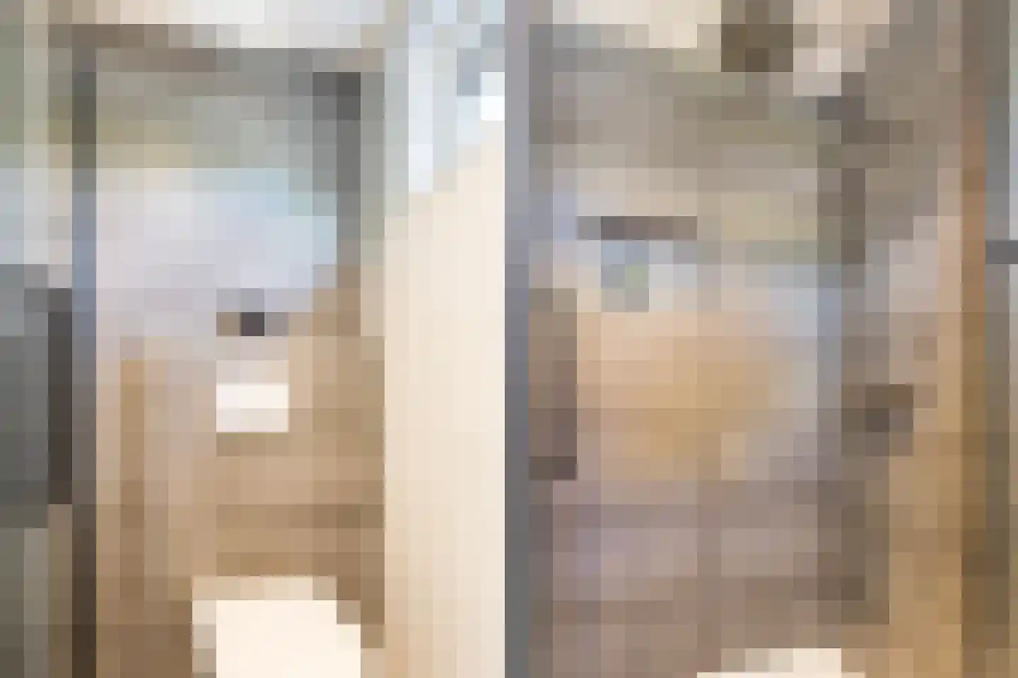 Hanenburg 27 Tytsjerk thumbnail 38
