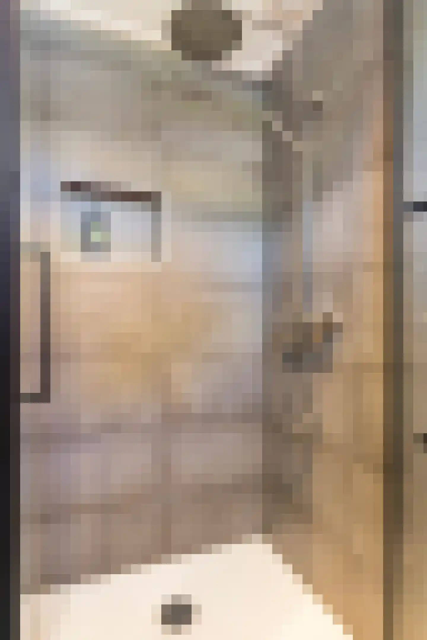 Hanenburg 27 Tytsjerk thumbnail 39