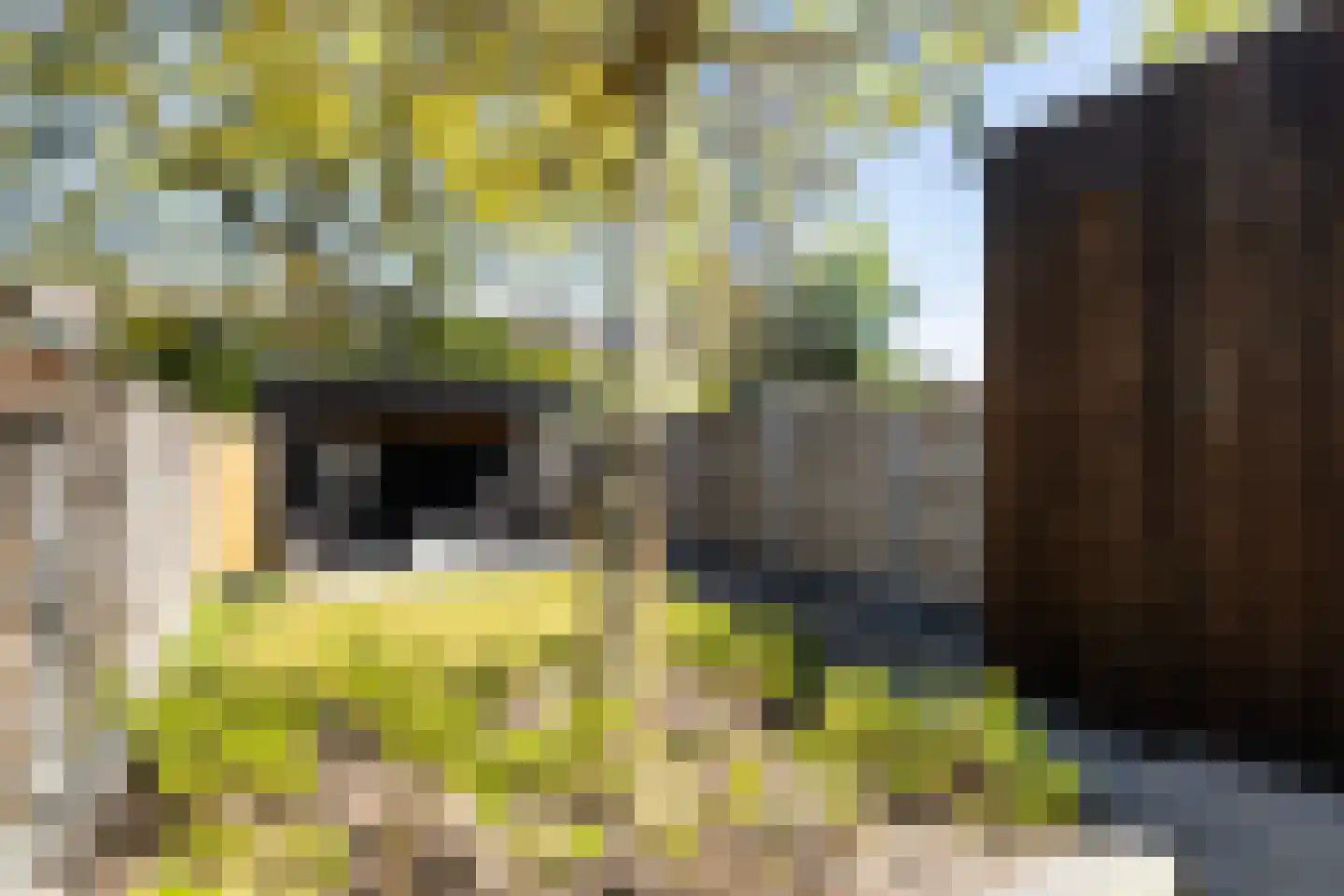 Hanenburg 27 Tytsjerk thumbnail 4