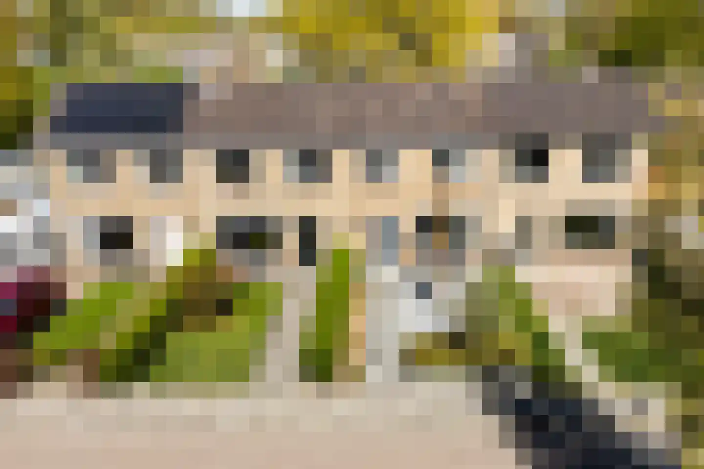 Hanenburg 27 Tytsjerk thumbnail 5