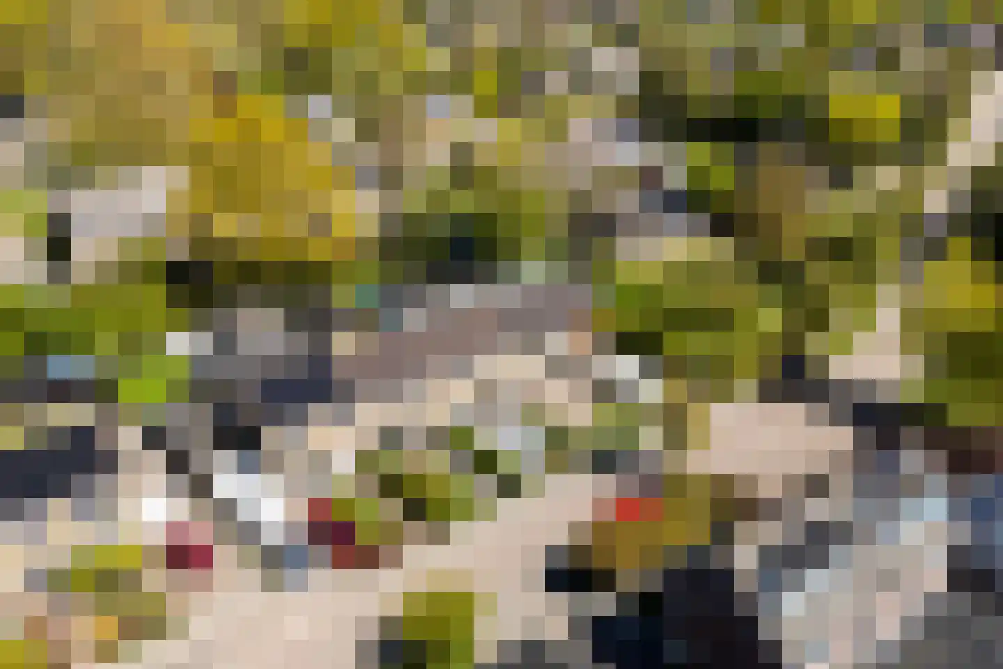 Hanenburg 27 Tytsjerk thumbnail 6