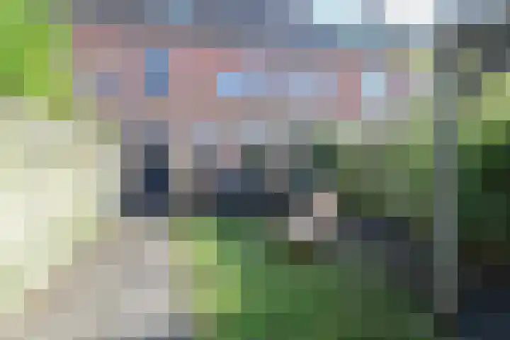 Hanenburg 36 Leeuwarden thumbnail 10