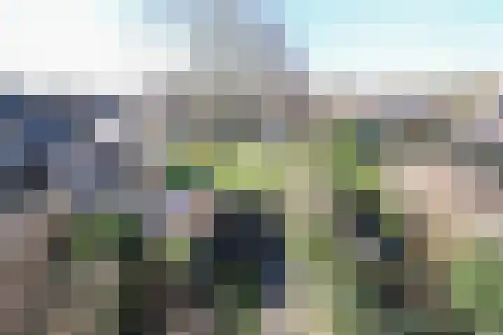 Hanenburg 36 Leeuwarden thumbnail 11