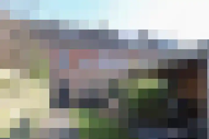 Hanenburg 36 Leeuwarden thumbnail 62