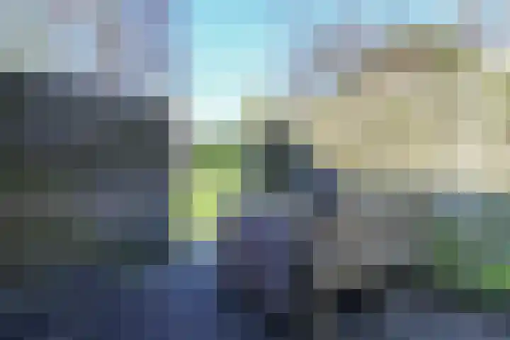 Hanenburg 36 Leeuwarden thumbnail 64