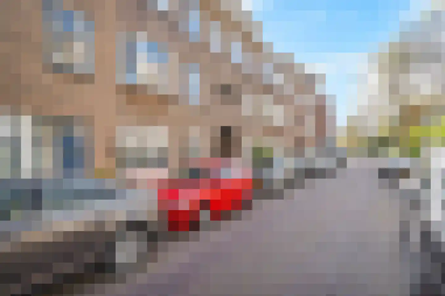 Hanenburglaan 108 Den Haag thumbnail 24
