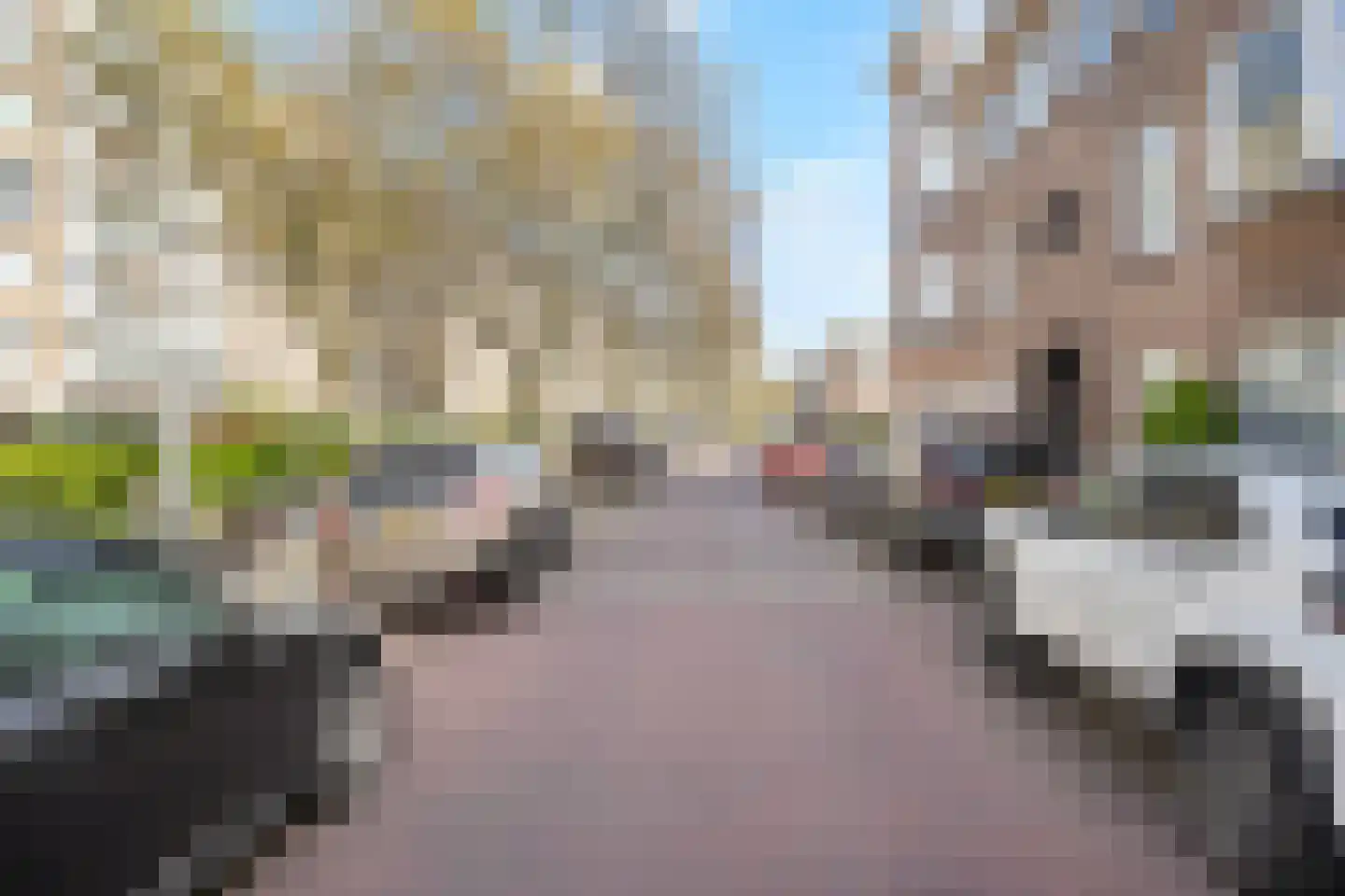 Hanenburglaan 108 Den Haag thumbnail 25