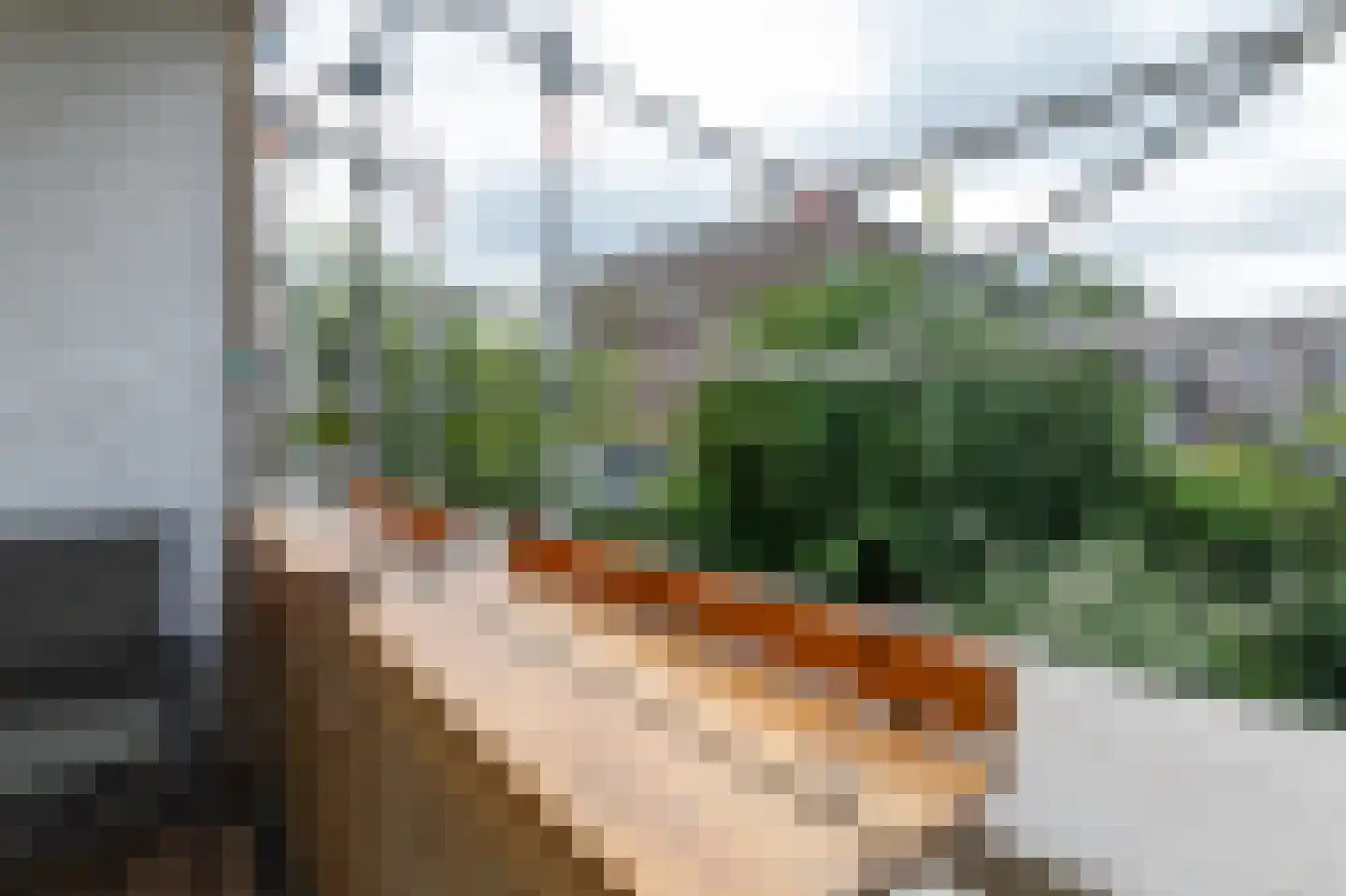 Hanenburglaan 112 Den Haag thumbnail 18