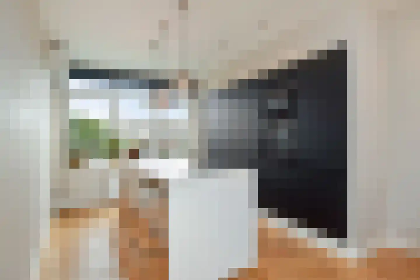 Hanenburglaan 12 Den Haag thumbnail 11
