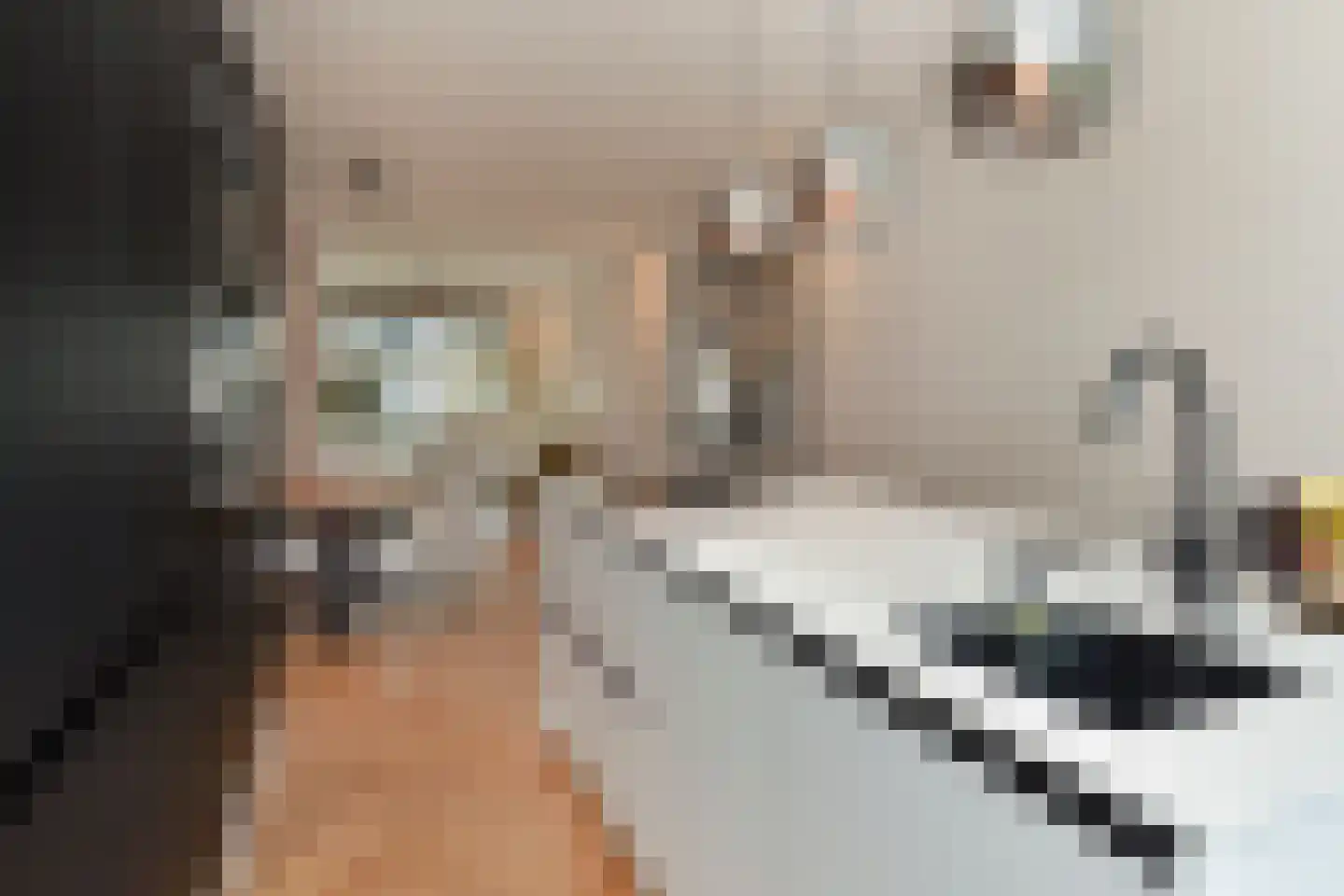 Hanenburglaan 12 Den Haag thumbnail 12