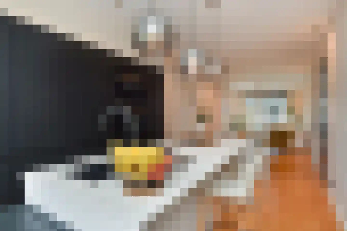 Hanenburglaan 12 Den Haag thumbnail 13