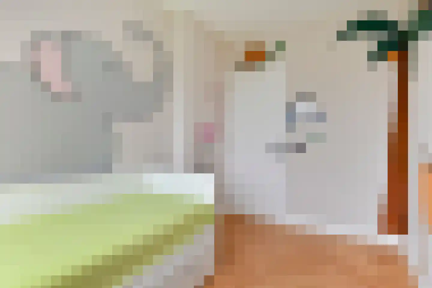 Hanenburglaan 12 Den Haag thumbnail 22