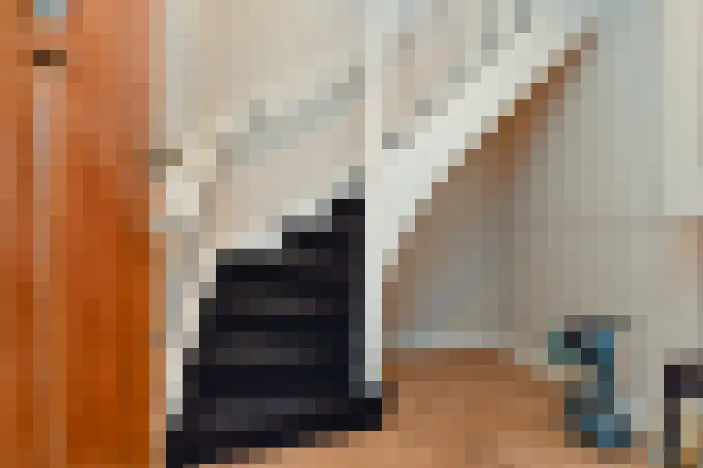 Hanenburglaan 12 Den Haag thumbnail 5