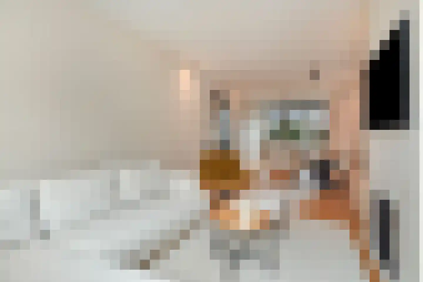 Hanenburglaan 12 Den Haag thumbnail 7
