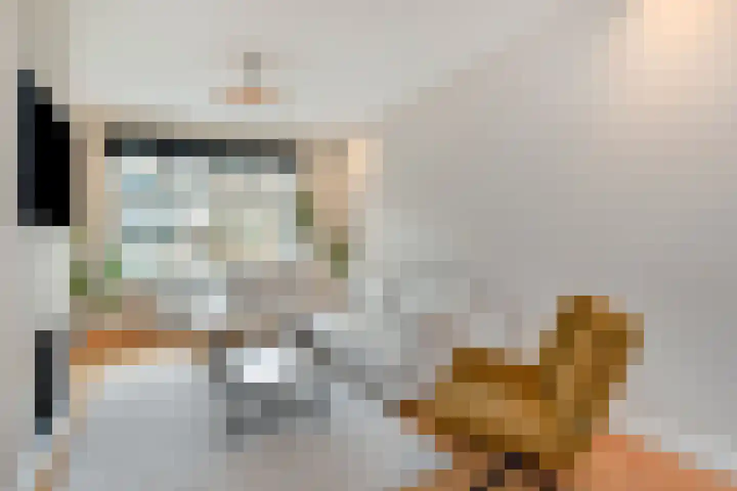 Hanenburglaan 12 Den Haag thumbnail 8