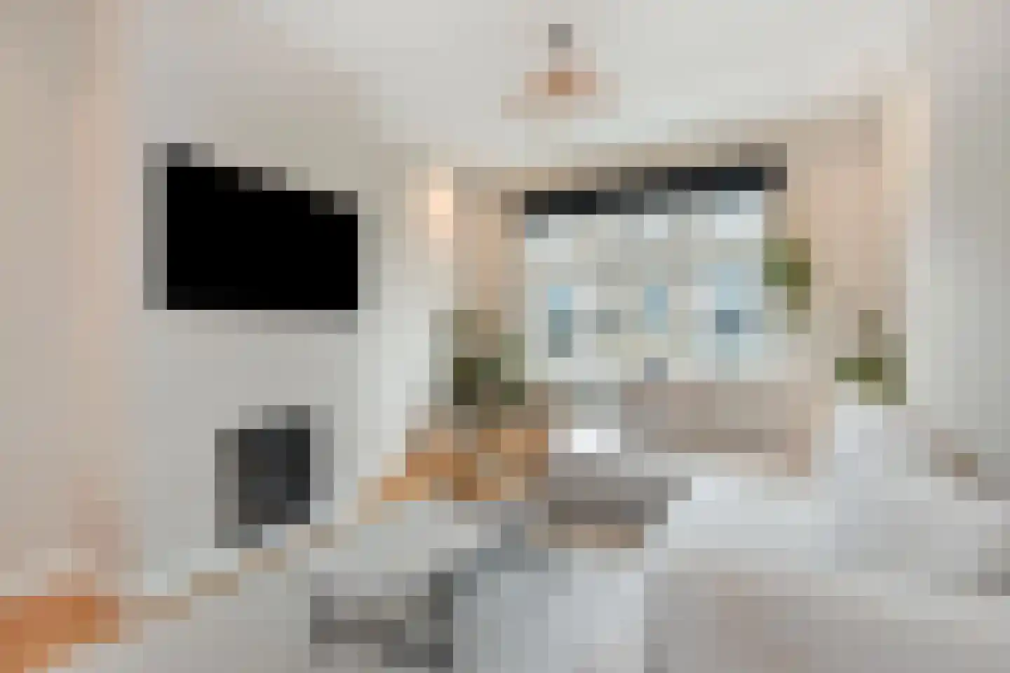 Hanenburglaan 12 Den Haag thumbnail 9