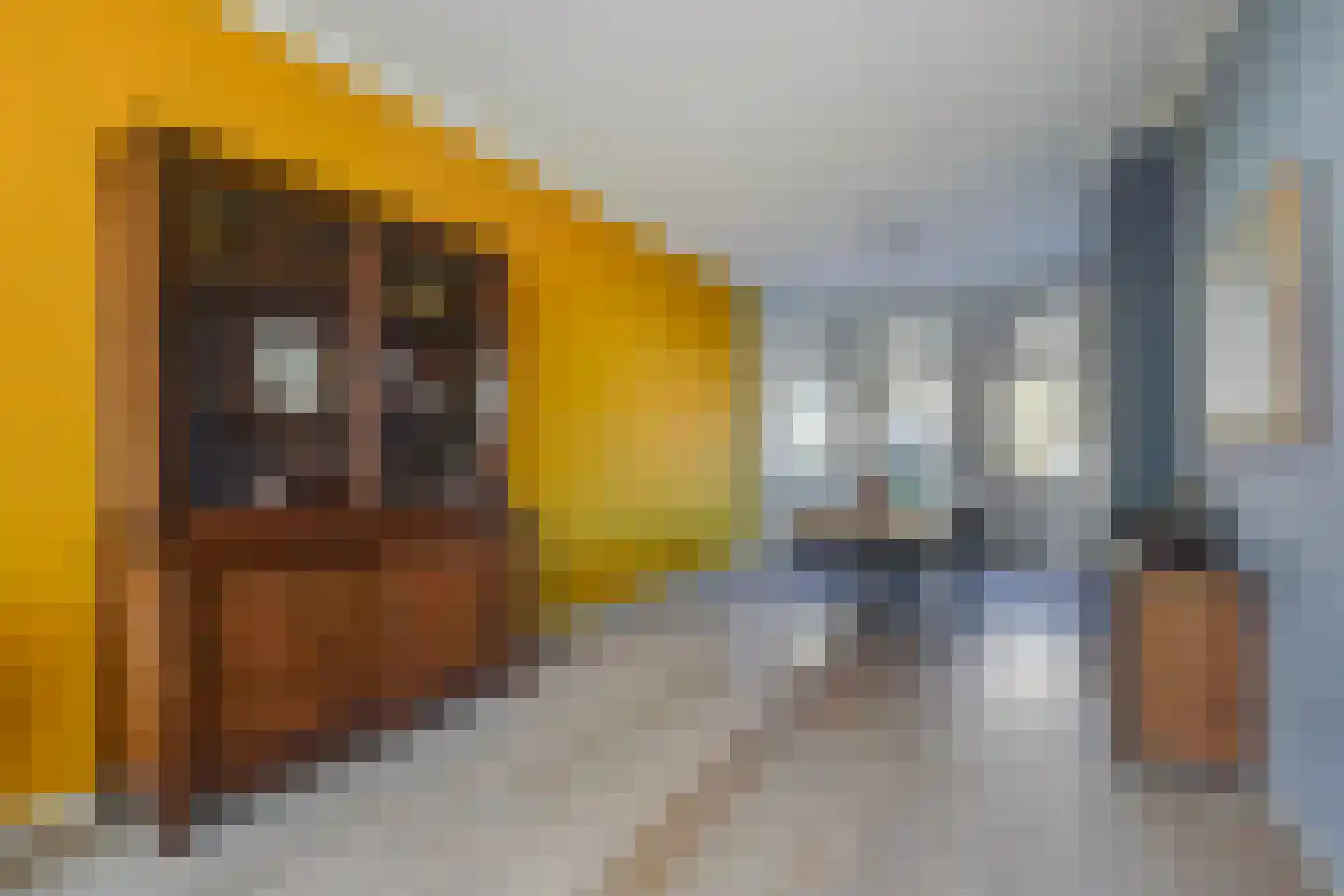Hanenburglaan 140 Den Haag thumbnail 11