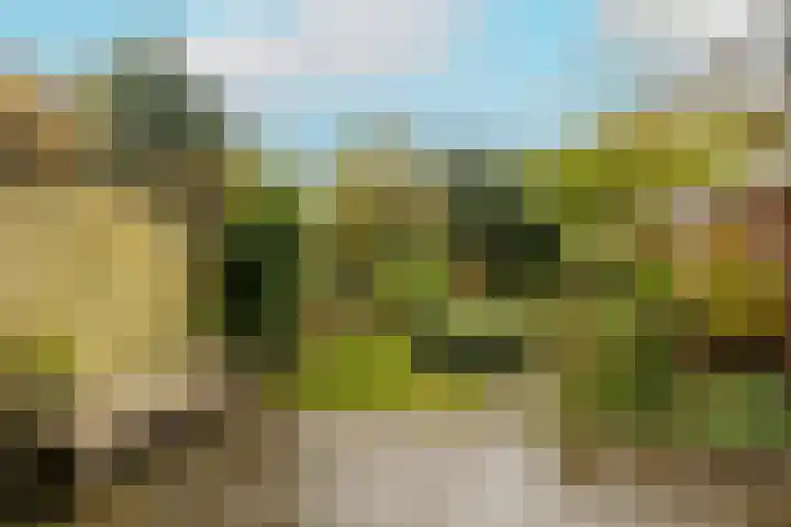 Hanenburglaan 46 Den Haag thumbnail 33